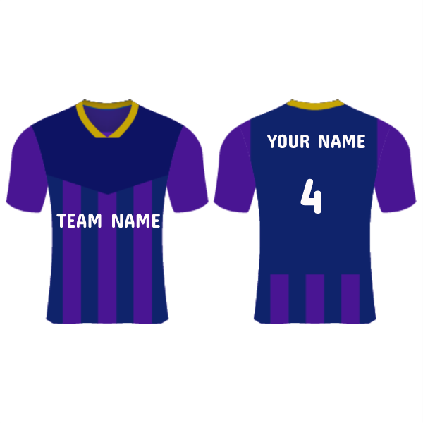 NEXT PRINT All Over Printed Customized Sublimation T-Shirt Unisex Sports Jersey Player Name & Number, Team Name.1338400598