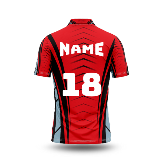 Next Print Custom Cricket Jerseys NP00142