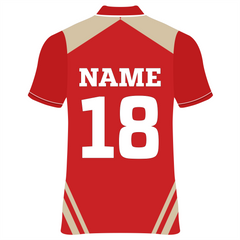All Over Printed Customized Sublimation T-Shirt Unisex Sports Punjab Kings Cricket  Jersey Player Name & Number, Team Name And Logo.NP060000