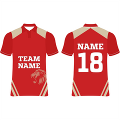 Next Print Punjab Custom Cricket Jerseys NP060000