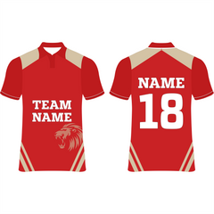 Punjab Kings Cricket  Jersey Player Name & Number, Team Name And Logo.NP060000