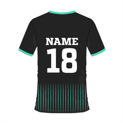 NEXT PRINT All Over Printed Customized Sublimation T-Shirt Unisex Sports Jersey Player Name & Number, Team Name.686807029