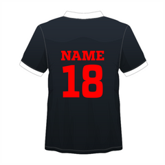 NEXT PRINT All Over Printed Customized Sublimation T-Shirt Unisex Sports Jersey Player Name & Number, Team Name.725823916